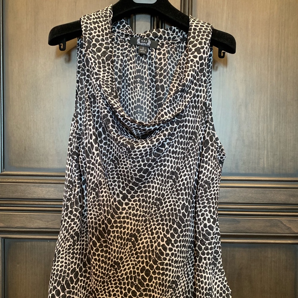 A Z I designer blouse.